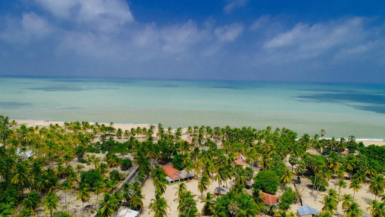 Sandy Edge كالبيتيا المظهر الخارجي الصورة