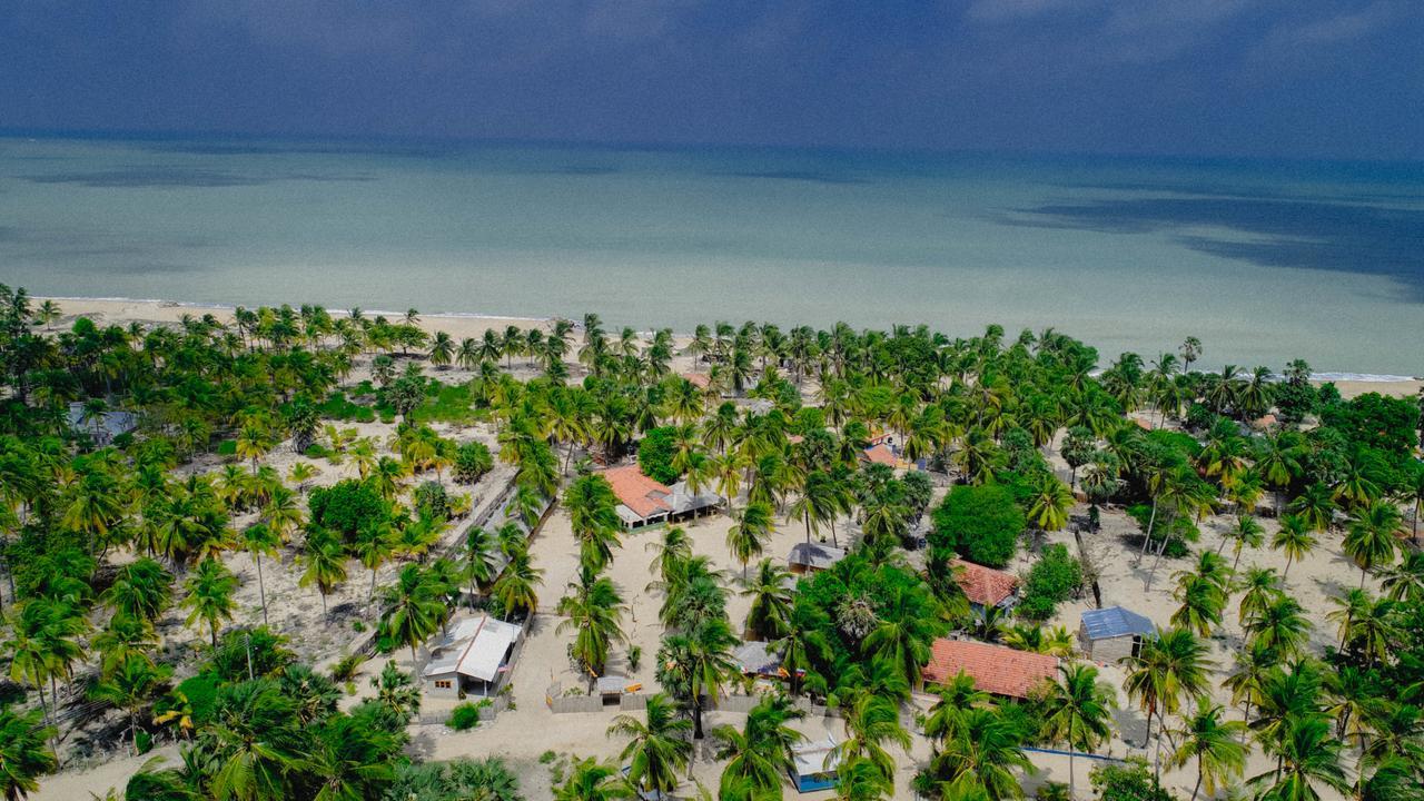 Sandy Edge كالبيتيا المظهر الخارجي الصورة
